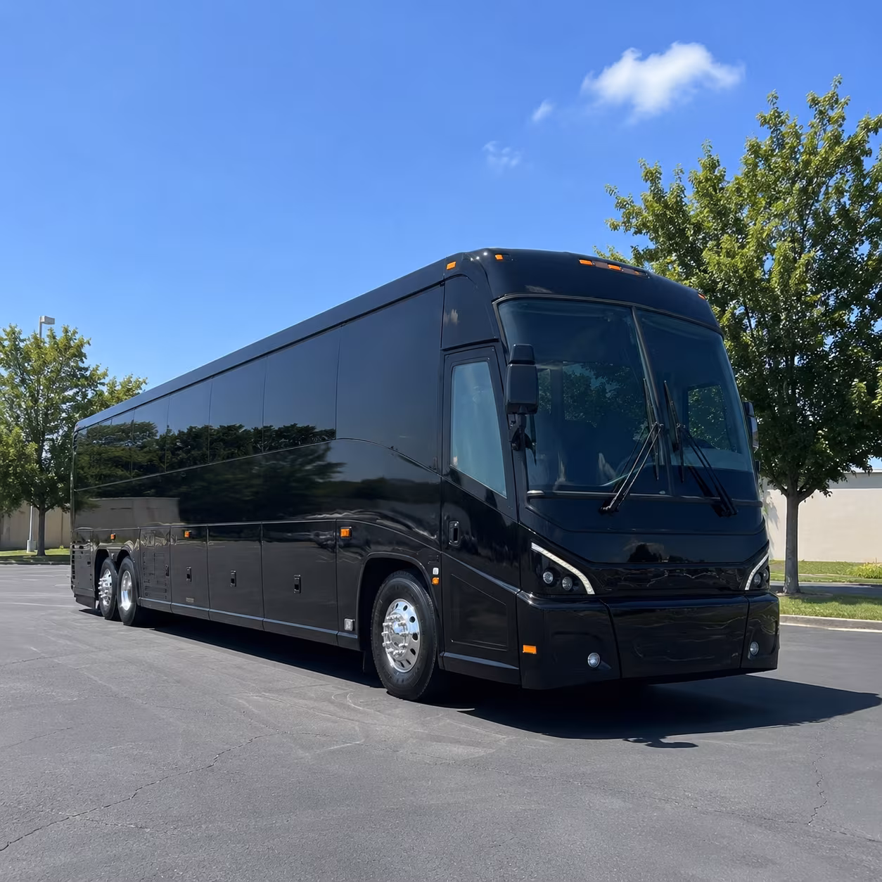 portstluciecharterbusservices com is the go to source for cruise transfers to portmiami and port canaveral